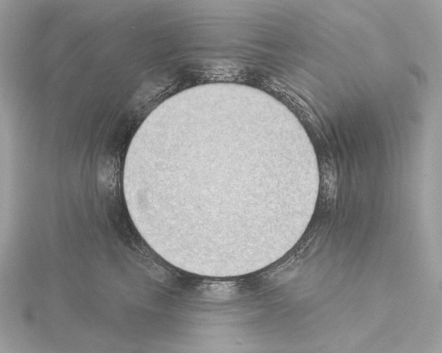 X0000115050665200912071131