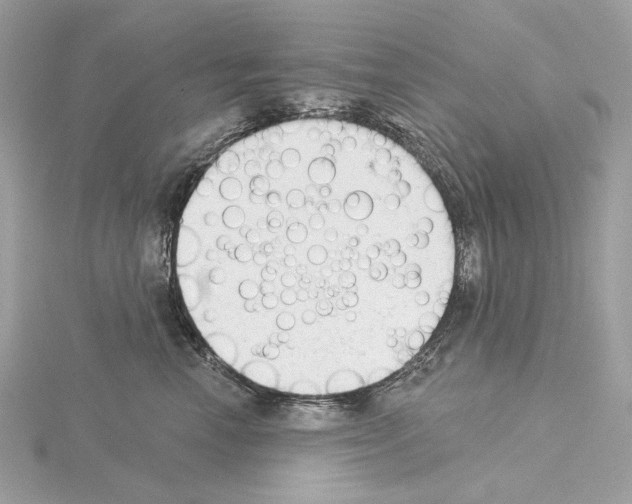 X0000115050666200912071131