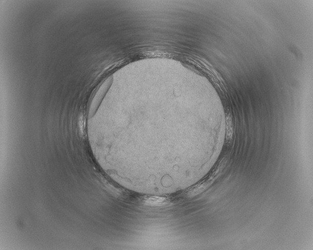 X0000115050669200912071131