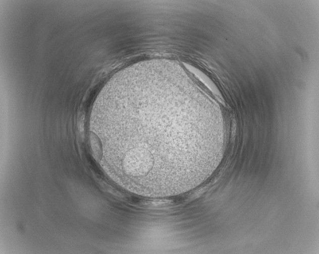 X0000115050670200912071131