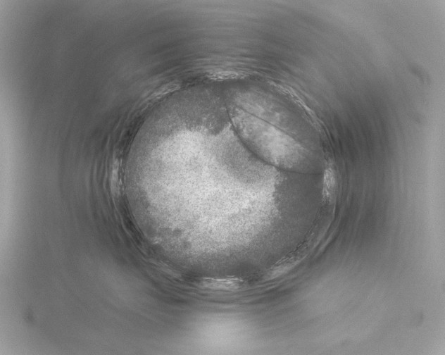 X0000115050671200912071131