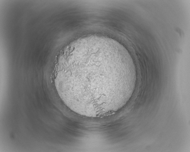 X0000115050672200912071131