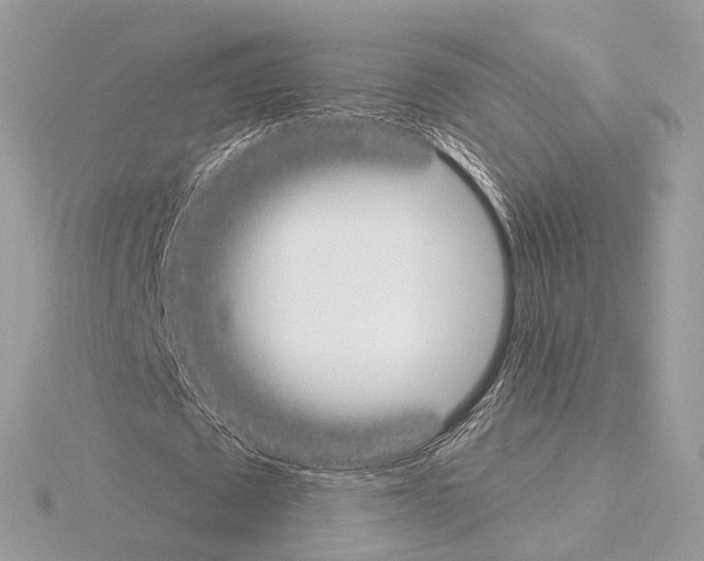 X0000115050673200912071130