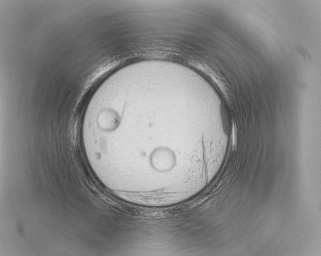 X0000115050675200912071130