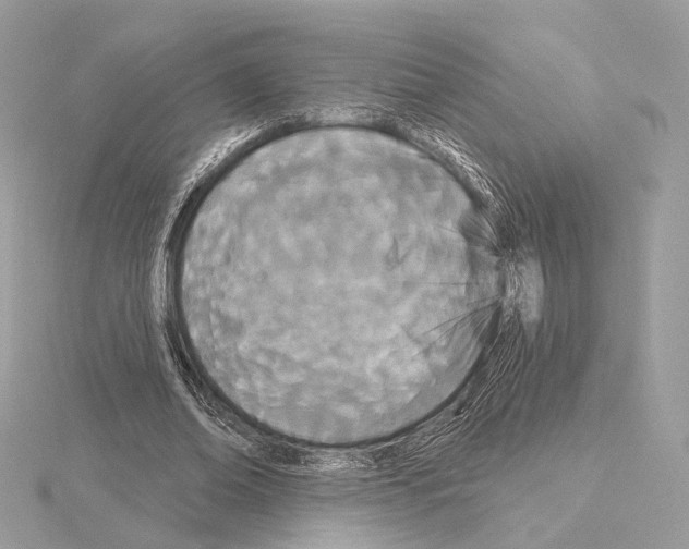 X0000115050678200912071130