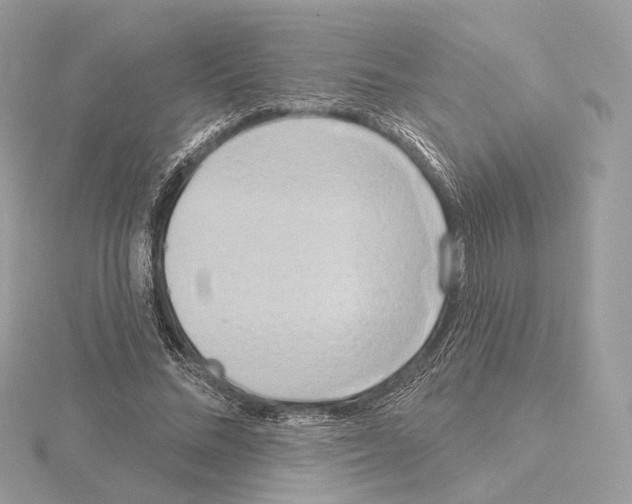 X0000115050684200912071130