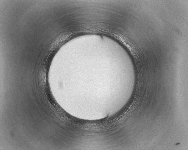 X0000115050685200912071130