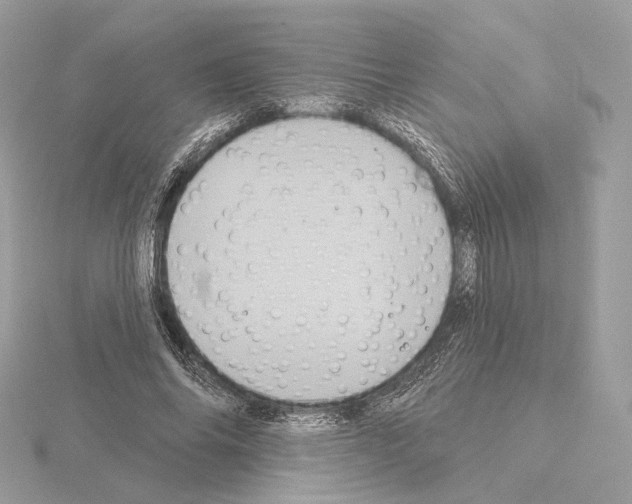 X0000115050686200912071130