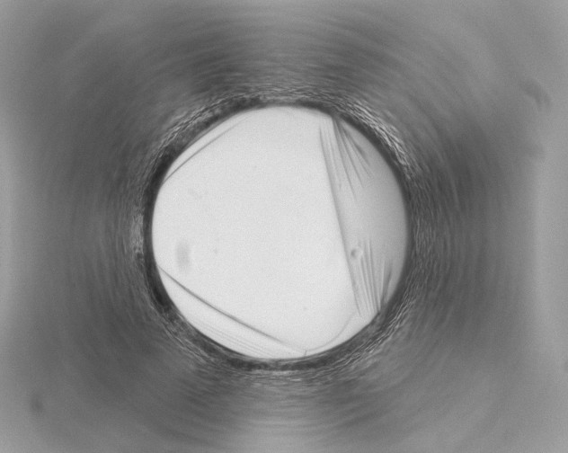 X0000115050689200912071130