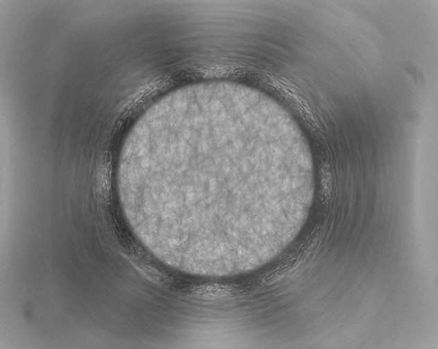 X0000115050691200912071130