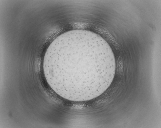 X0000115050694200912071130