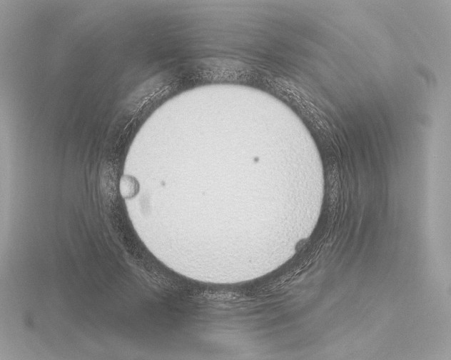 X0000115050695200912071130