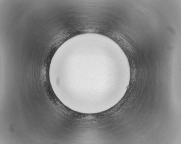 X0000115050696200912071130