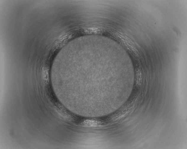 X0000115050699200912071130