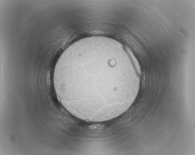 X0000115050700200912071130