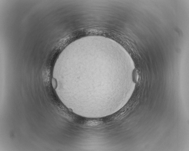 X0000115050708200912071130