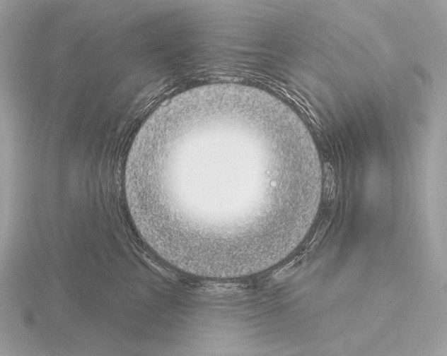 X0000115050713200912071130