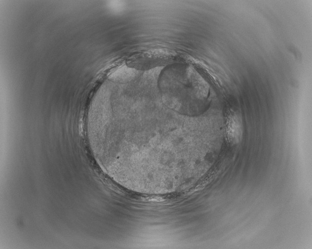 X0000115050715200912071130