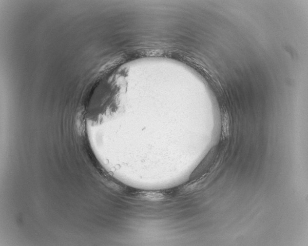 X0000115050719200912071130