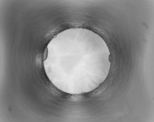 X0000115050720200912071130