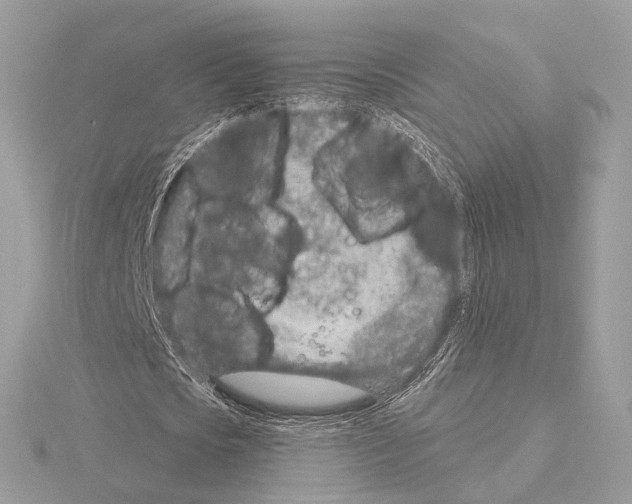 X0000115050721200912071129