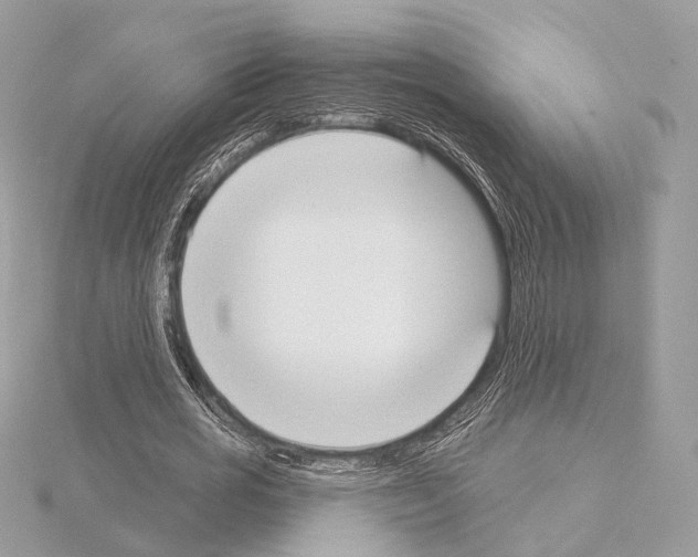 X0000115050725200912071129