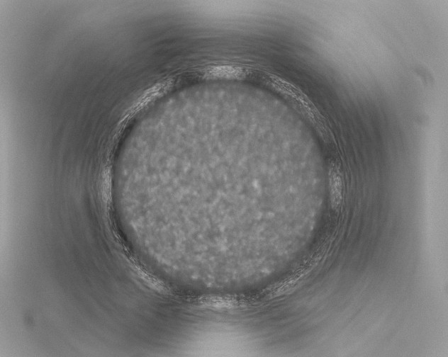 X0000115050729200912071129