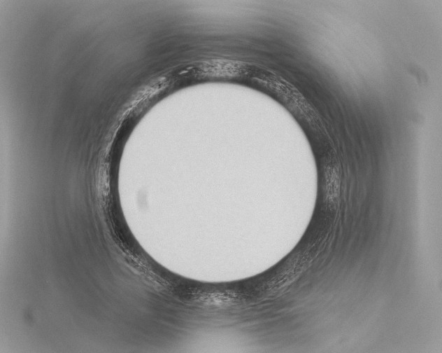 X0000115050731200912071129