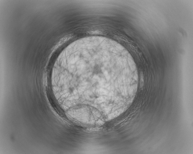 X0000115050734200912071129