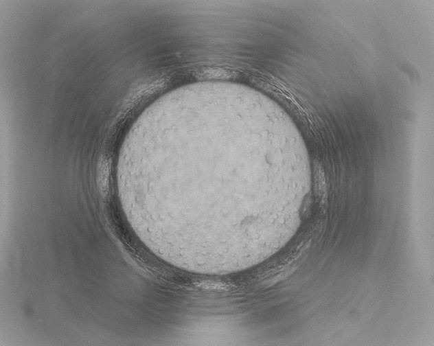 X0000115050742200912071129