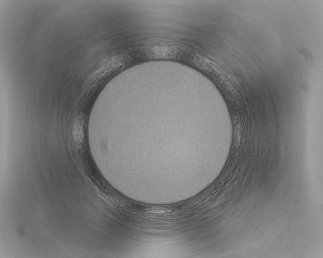 X0000115050746200912071130