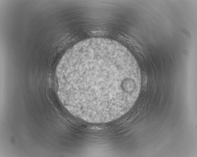 X0000115050751200912071130