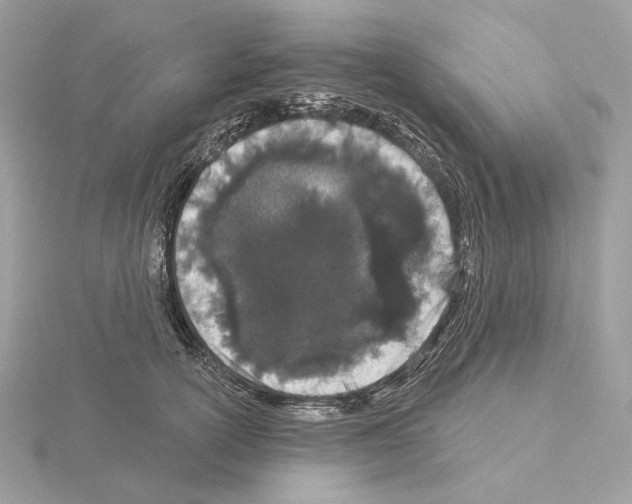 X0000115050754200912071130