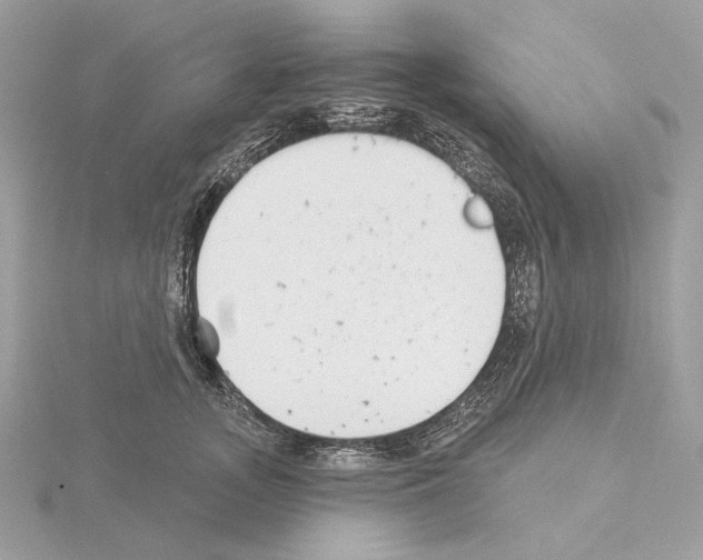 X0000115050755200912071130