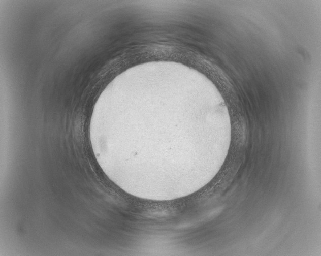 X0000115050757200912071130