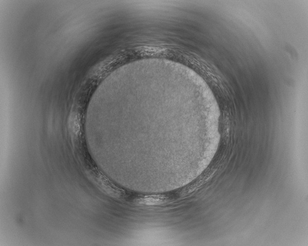 X0000115050758200912071130