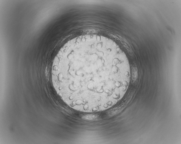 X0000115050759200912071130