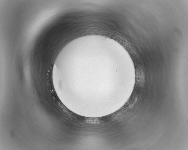 X0000115050762200912071130