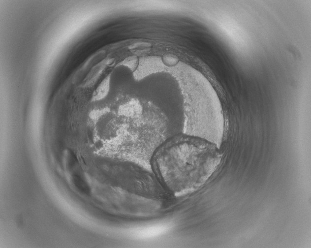 X0000115050765200912071130