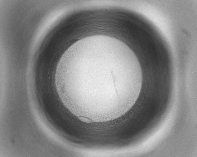 X0000115050766200912071130