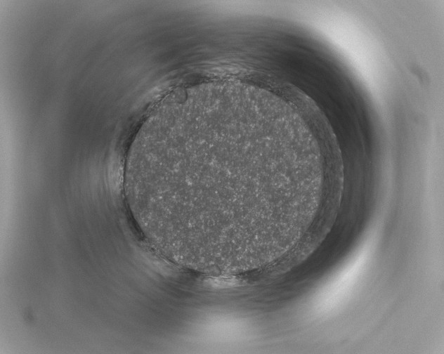 X0000115050767200912071130