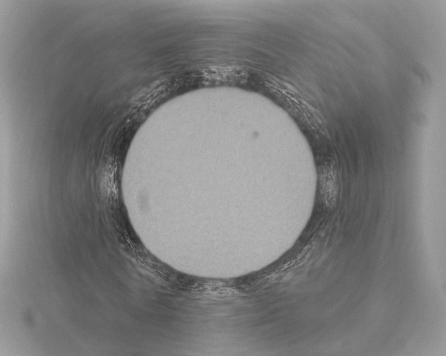 X0000115050770200912071129