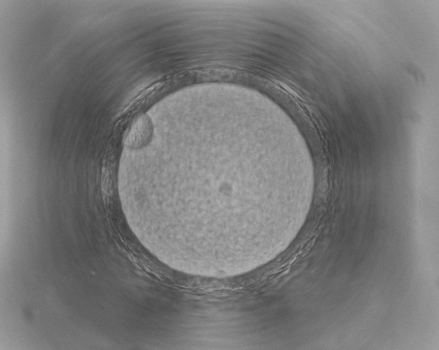 X0000115050774200912071129