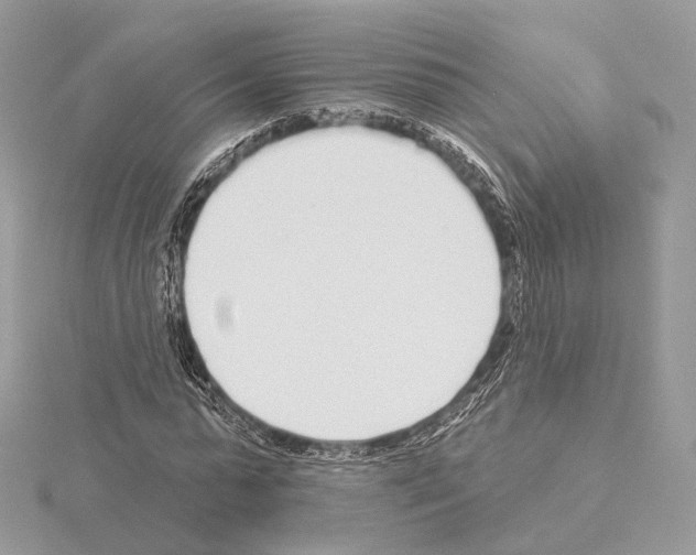 X0000115050775200912071129