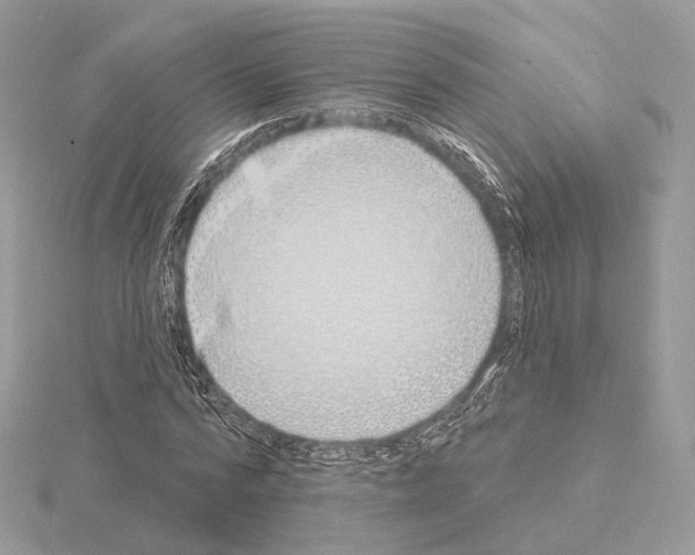 X0000115050776200912071129