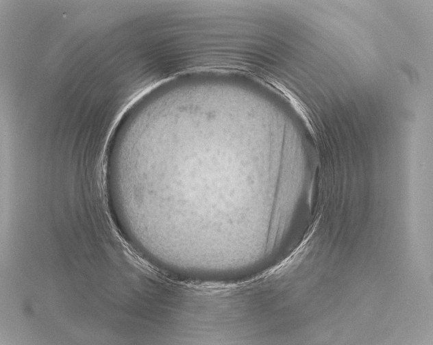 X0000115050779200912071129