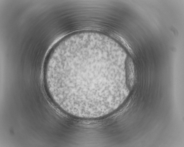 X0000115050780200912071129