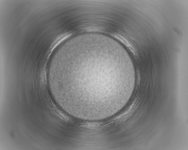 X0000115050782200912071129