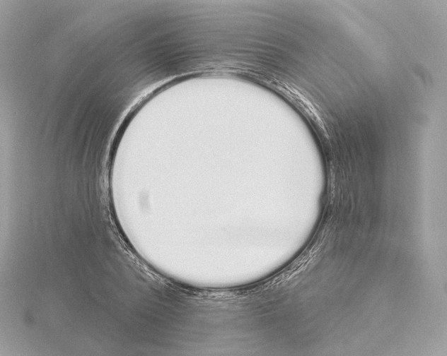 X0000115050784200912071129