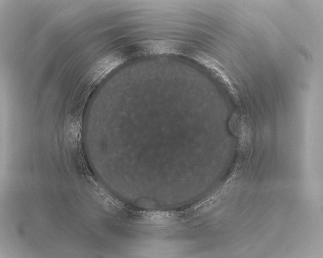 X0000115050785200912071129